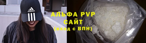 ECSTASY Ладушкин