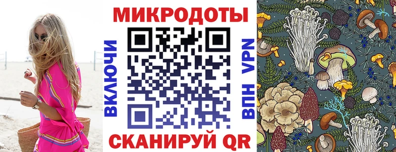 гидра онион  Сычёвка  Галлюциногенные грибы MAGIC MUSHROOMS 